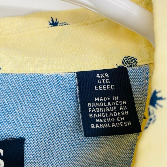 Chaps Easy Care Mens Button Down Shirt Striped Pineapple Print Blue Size 4X BIG‎ - Picture 3 of 9